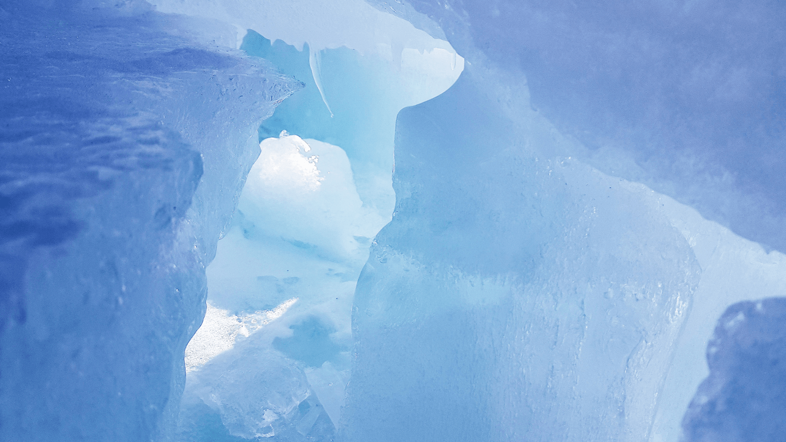 Ice, Ice, Recovery- The Surprising Benefits of Cold Plunge Therapy